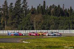 PRFAV08506